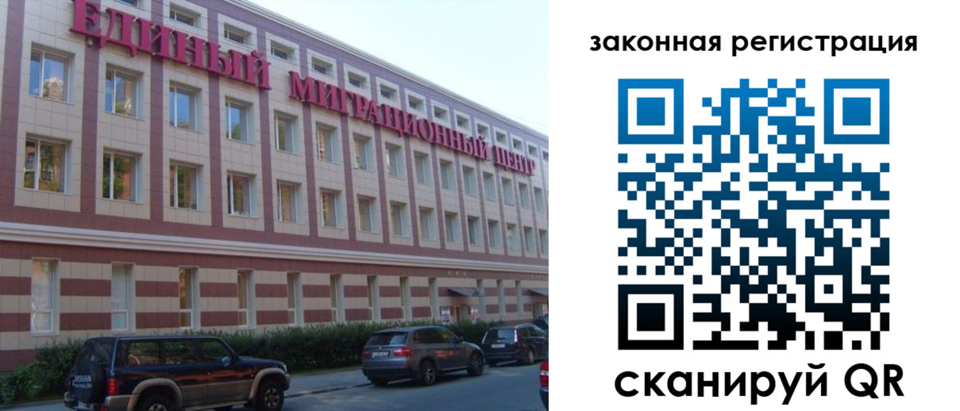прописка для школы в Курске